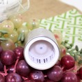 180760 - EMBOSSED FDL WINE STOPPER W / POP UP STYLE